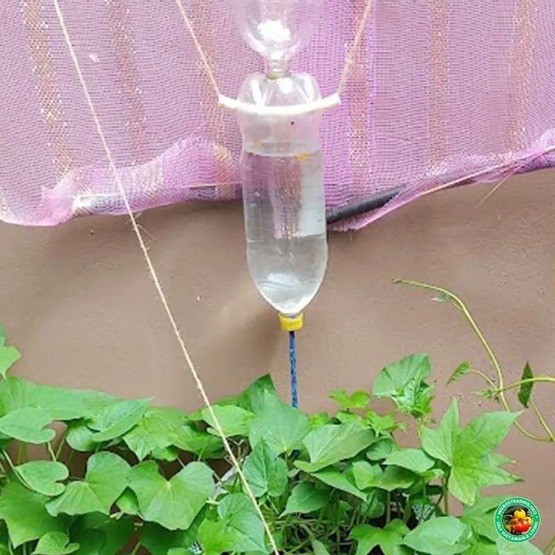 Gravity Fed Wick System For Watering