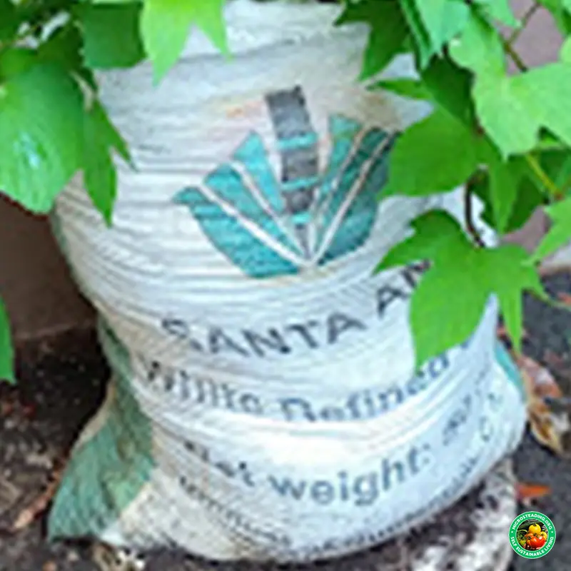 DIY Grow Bag Hacks from Recycled Materials