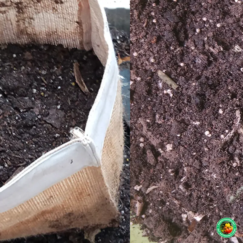 Composting Directly in Grow Bags - Fertilize as You Grow