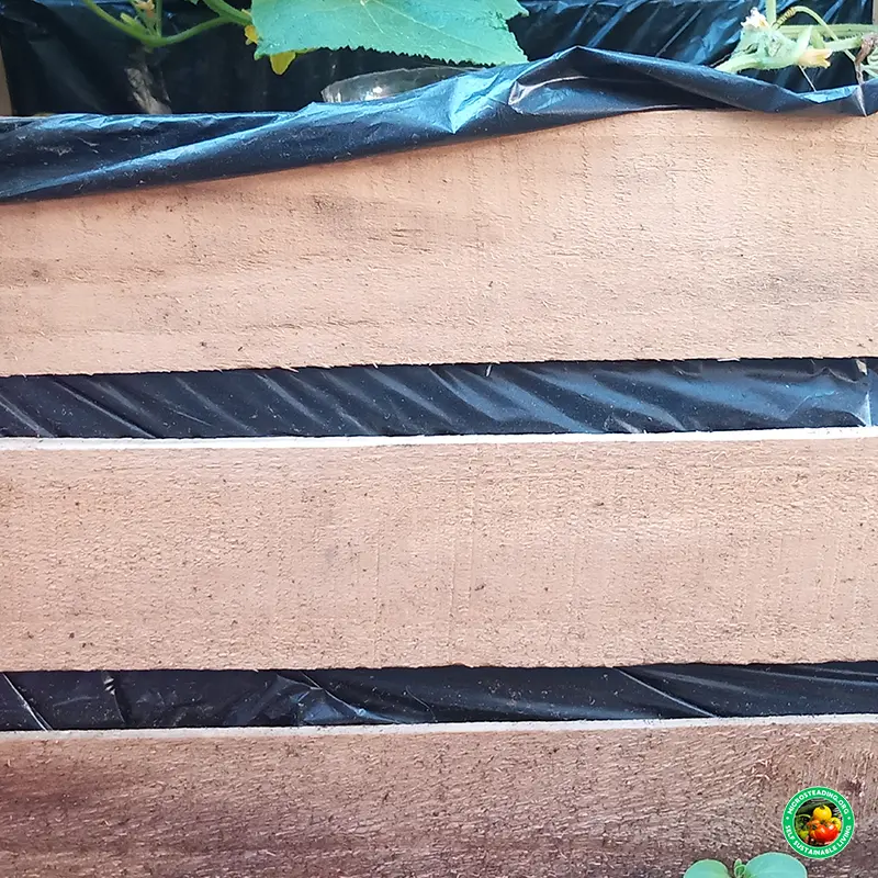 Microsteading for Urban Gardens, DIY Growing & Sustainability