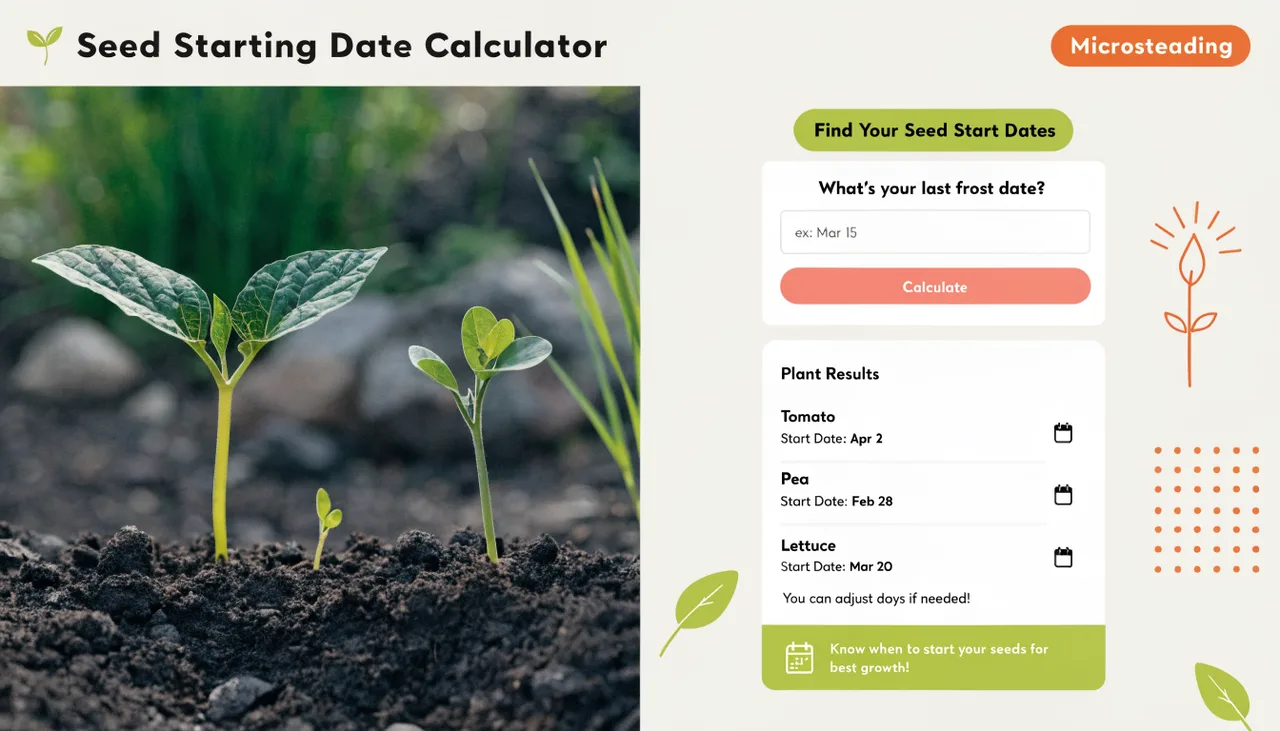🌱 Seed Starting Date Calculator  | Know Exactly When to Sow | Microsteading