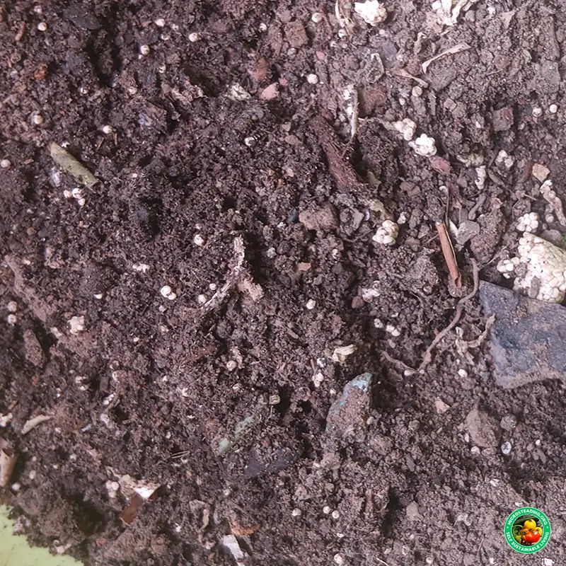 Best Soil Mixes for Grow Bags - Recipes for Every Crop