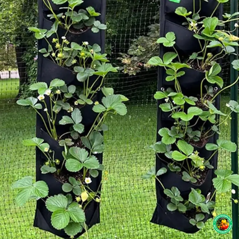 Strawberries in vertical grow bags along a fence